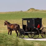 Amish