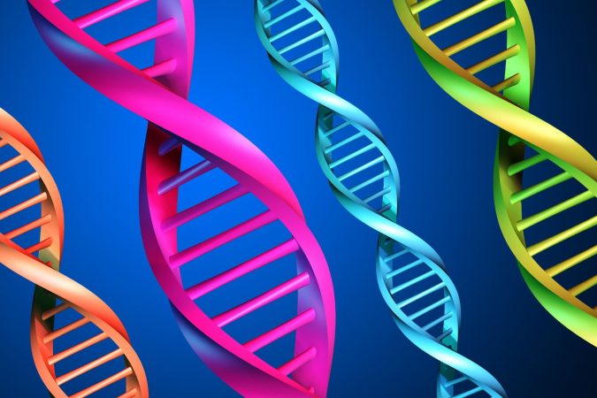 DNA