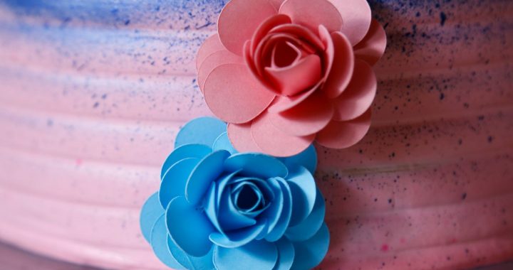 Der tiefgreifende Wandel der Geschlechterfarben – Wie Rosa und Blau ihre Bedeutung verloren