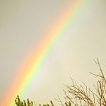 Regenbogen