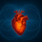 Leuchtend oranges, anatomisch realistisches menschliches Herz in der Bildmitte, umgeben von einem blau schimmernden, torusförmigen elektromagnetischen Energiefeld vor dunklem Hintergrund.