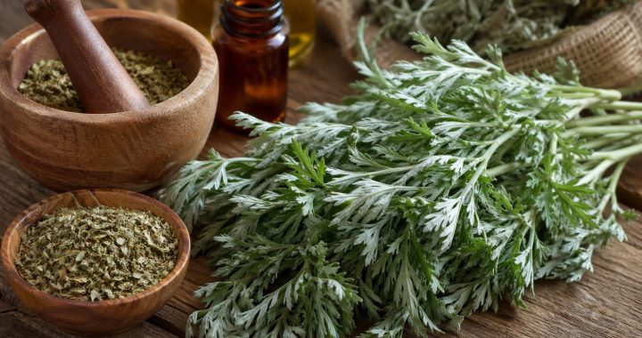 Beifuß: Eine traditionelle Heilpflanze