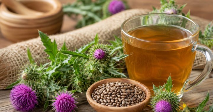 Mariendistel: Mehr als nur ein Kraut für die Leber