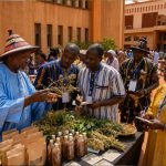 Ein erfahrener traditioneller Heilpraktiker erläutert im Innenhof des Kulturpalasts Jean-Pierre Guingané in Ouagadougou einer Gruppe von Workshop-Teilnehmern die nachhaltige Nutzung von Heilpflanzen. Auf dem Tisch liegen frische und getrocknete Kräuter, Glasfläschchen und umweltfreundliche Verpackungsmaterialien, während weitere Besucher die Veranstaltung im Hintergrund verfolgen.