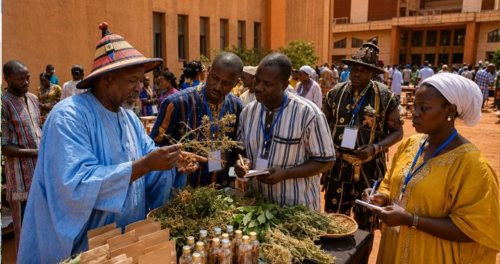 Traditionelle Medizin in Burkina Faso: Zwischen uraltem Wissen und modernen Anforderungen