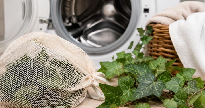 Efeu als Waschmittel: Natürliche Reinigung aus dem Garten